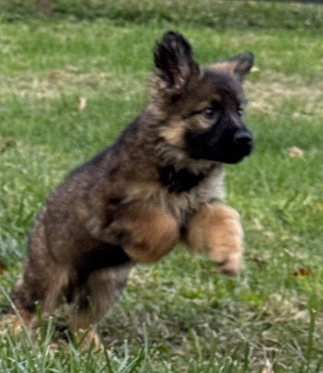 Oney-9 weeks