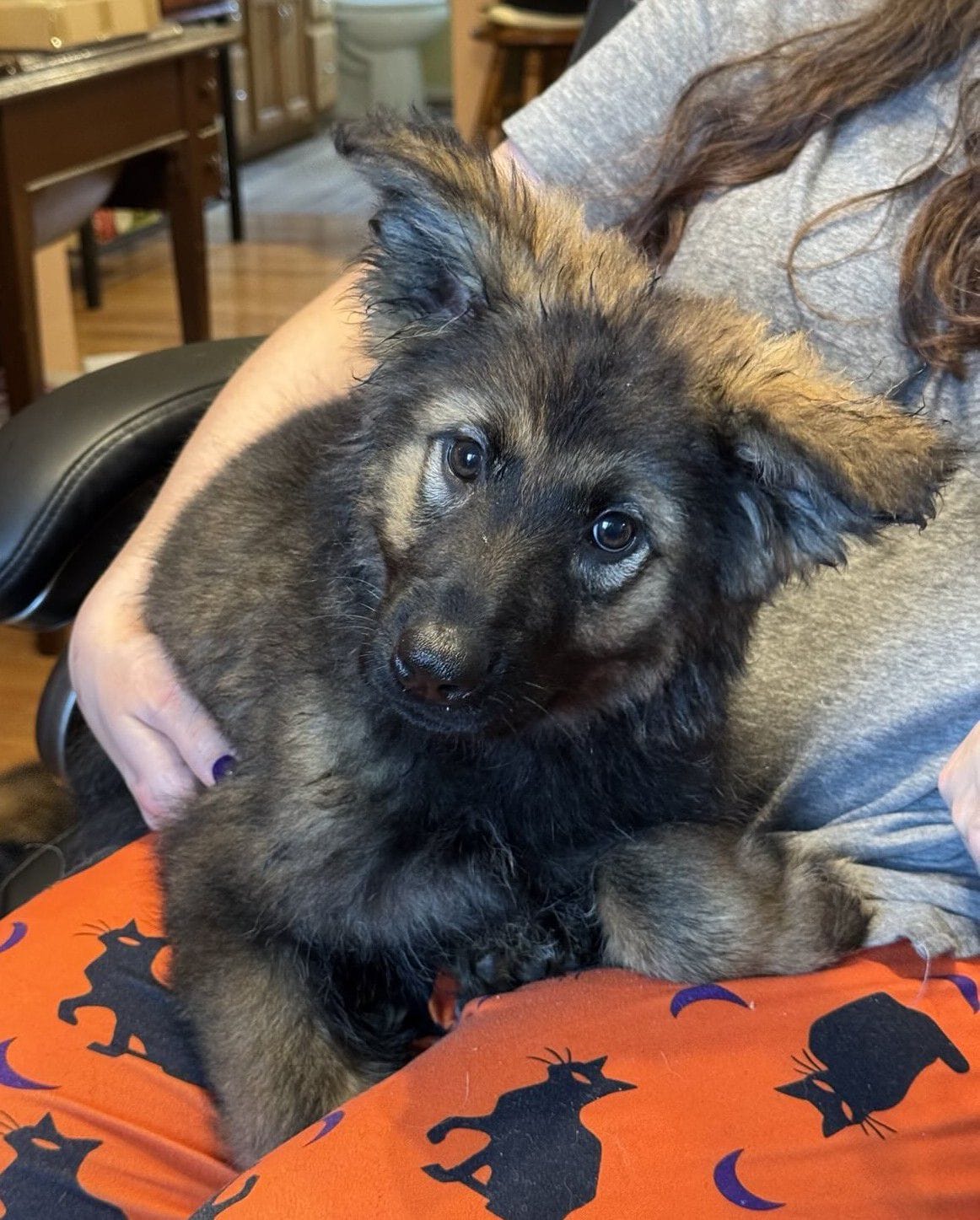 Olivia - 11 Weeks