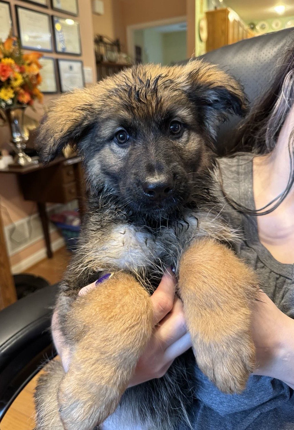 Oney - 11 Weeks