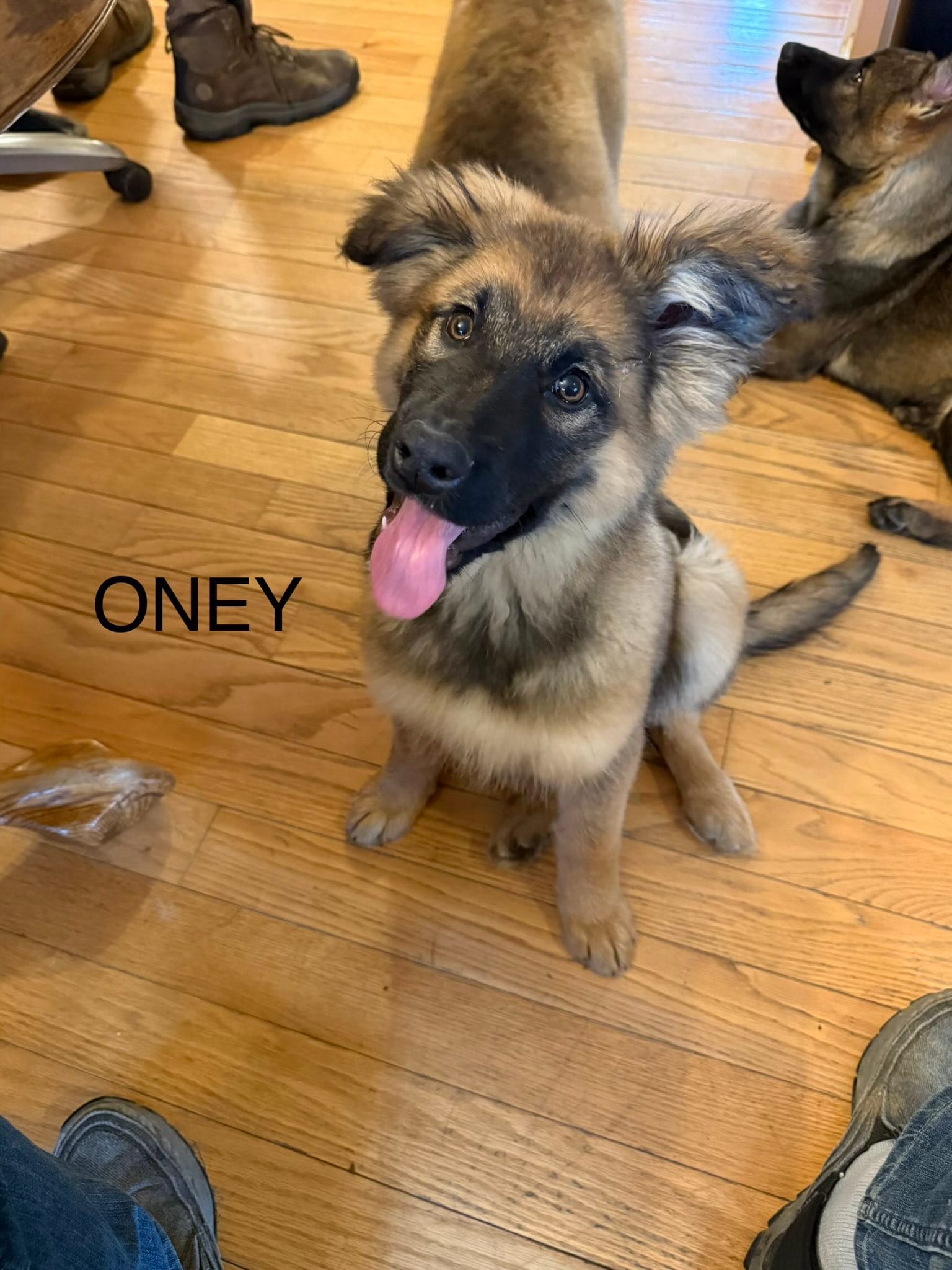 Oney